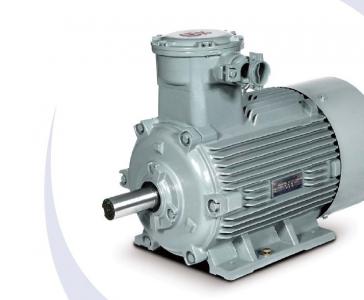 1MT000系列西門子防爆電機(jī)